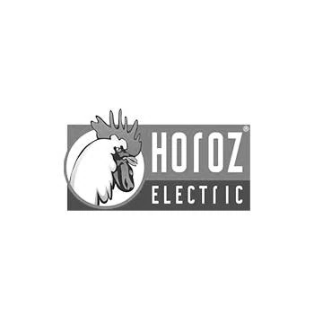Horoz Electric logo