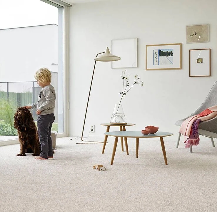 Moquette douce pour intérieur